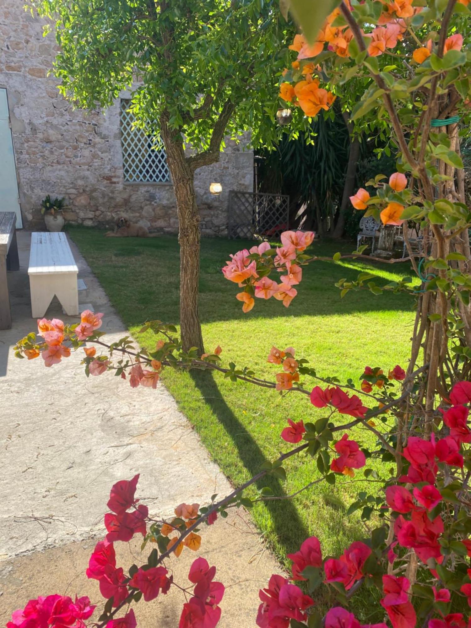 Corte Boero Bed&Breakfast Capoterra Kültér fotó